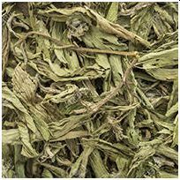 Stevia Leaves