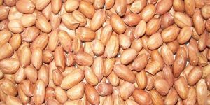 Peanuts Seeds