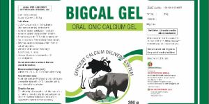 Bigcal Gel