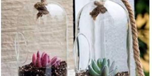 Hole Hanging Borosilicate Glass Planter