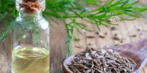 Dill Oil