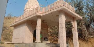 Temple Construction Services