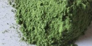 Morninga Leaf Powder