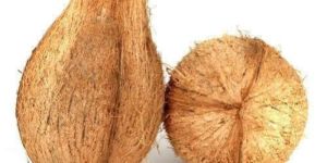 Semi Husk Coconut
