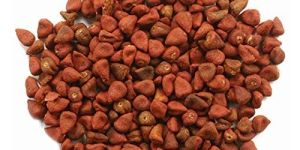 Annatto Seeds