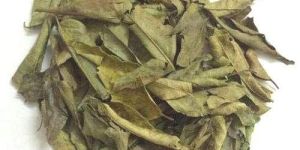 Dry Curry Leaves