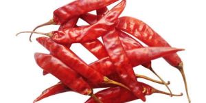 Teja Red Chilli