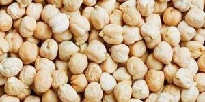 White Chickpeas