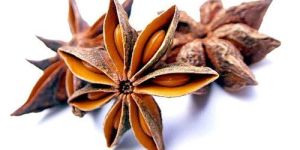 Star Anise