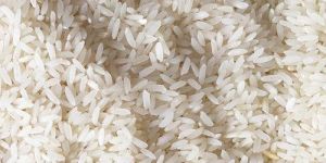 Swarna Non Basmati Rice