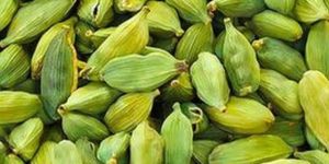 Cardamom