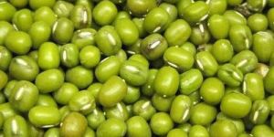 Mung Bean