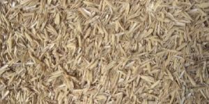 Rice Husk