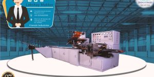on Edge Biscuit Packing Machine