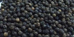Black Pepper