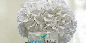 White Hydrangea Flower