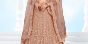 Embroidered Lehenga Choli