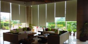 Bamboo Roll up Blinds