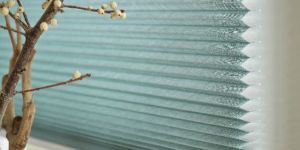Duette Blinds