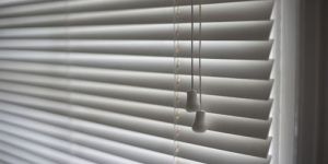 Window Blinds