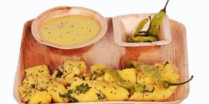 Biodegradable Areca Leaf Square Plate