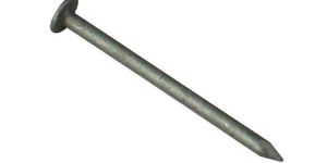 Galvanized Nail