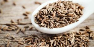 Cumin Seeds
