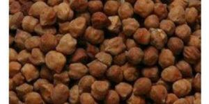 Organic Chickpeas