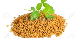 Fenugreek Seeds