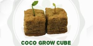 Coco Grow Cubes