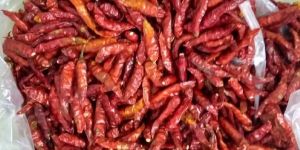 Dried Red Chilli