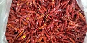 Stemless Dried Red Chilli