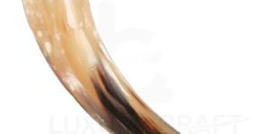 Drinking Horn