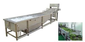 Vegetable Washer Machine