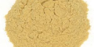 Yeast Extract Powder