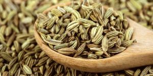 Fennel Seeds
