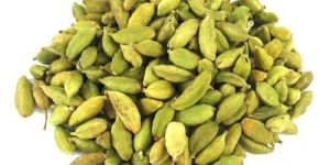 Green Cardamom