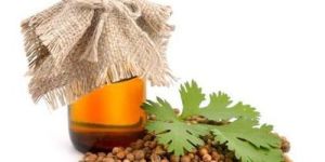 Coriander Seed Oil