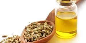 Fennel Seed Oil