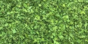 Dry Fenugreek Leaf
