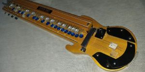 Indian Musical Guitar