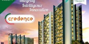 Construction Consulting Services