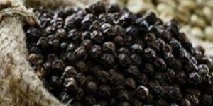 Black Pepper Seeds