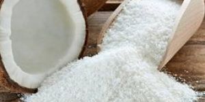 Desiccated Coconut Powder