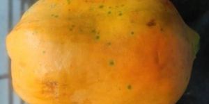 Papaya