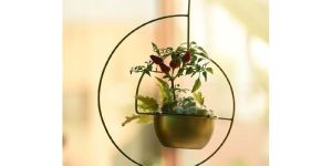 Hanging Planter