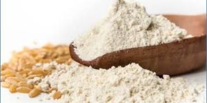 Whole Wheat Atta Plant