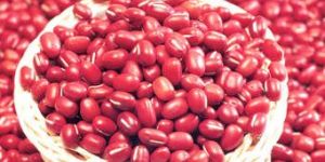Kidney Beans