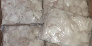 Frozen Tender Coconut Slices