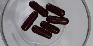 G1RHIZO Rhizobium SP Bio Fertilizers